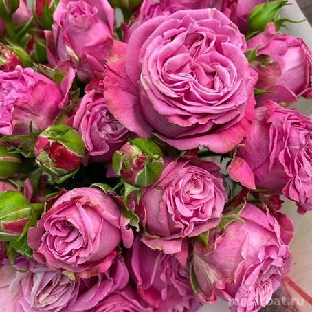 Цветочный магазин Arbat-flowers24 Изображение 4