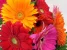 Цветочный магазин Arbat-flowers24 Изображение 4