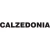 Магазин колготок и купальников Calzedonia 